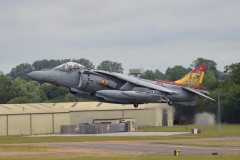 HARRIER_1