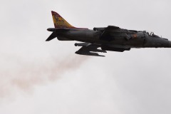 HARRIER_10